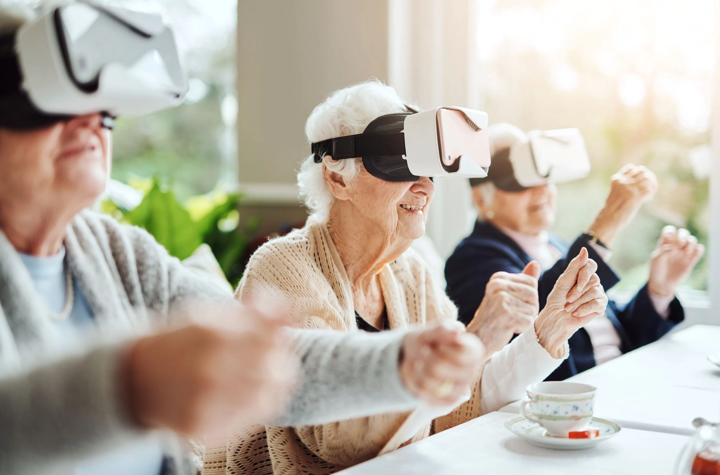 You are currently viewing Virtual Reality for the Elderly